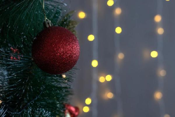 freepik.com |  Минобороны отказ от новогодних праздников не одобрило