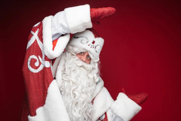 freepik.com |  За работу «Дедом Морозом» в этом году готовы заплатить более 80 тыс. рублей