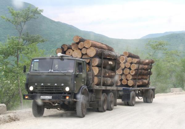 фото: пресс-служба ЗС ПК |  Минэкономразвития разбивает на щепки планы лесопромышленников
