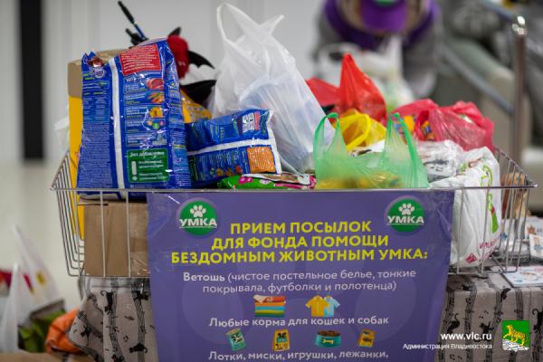 фото: Максим Долбнин / vlc.ru |  На матче «Адмирала» прошла акция в поддержку бездомных животных