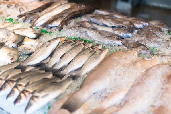 Фото: freepik.com |  Ситуация с ценами на рыбу – ФАС клюнула на заявление Росрыболовства