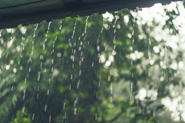 фото: freepik.com |  Без дождей опять не обойдется. Синоптики огорчили прогнозом на неделю
