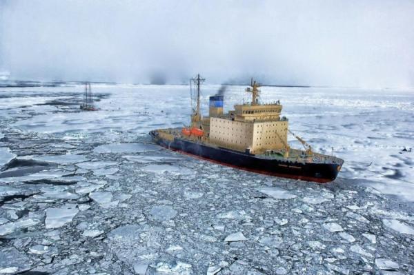 Фото: freepik.com |  На ВЭФ-2023 сообщили стоимость реализации Северного морского пути