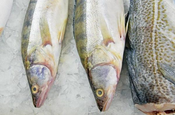 фото: с сайта Росрыболовства |  Средний «рыбный» чек на Дальнем Востоке самый высокий в России