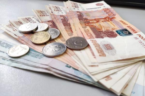 фото: primpress.ru |  Сбер: в 2023 году средний чек в интернет-магазинах оказался выше, чем в рознице