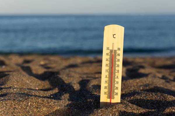 Фото: freepik.com |  Летом 2024-го жителям Приморья придется страдать от жары как никогда – прогноз