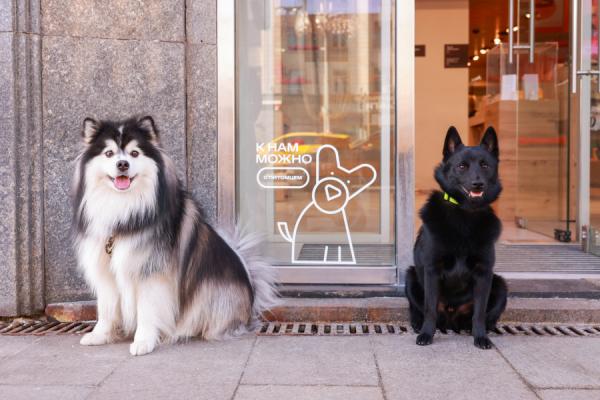МТС |  МТС в Приморье открыла свои магазины для домашних животных