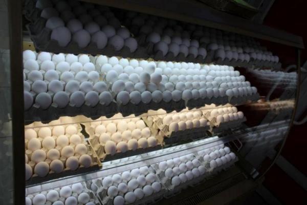 фото KONKURENT |  Группа ВТБ: спрос на яйца и продукты для выпечки вырос на 22% накануне Пасхи