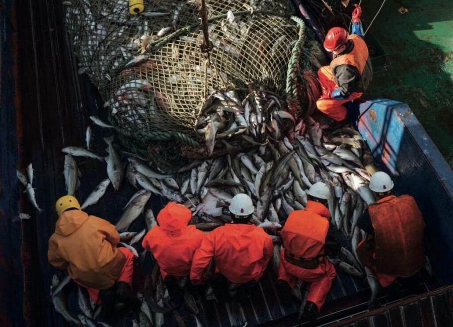 Российские морепродукты пустят по другому миру. Что натворили США и Евросоюз