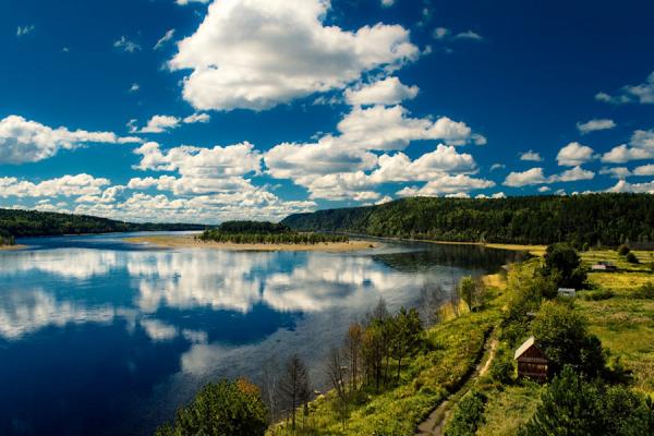 Кто губит лес и реки в Амурской области?