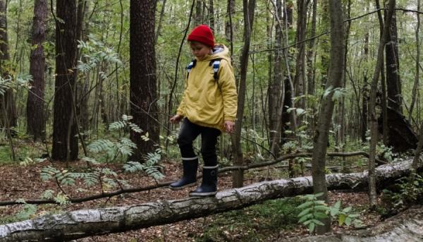 фото: pexels.com |  Родителям грозит штраф: прогулка детей может принести серьезные неприятности