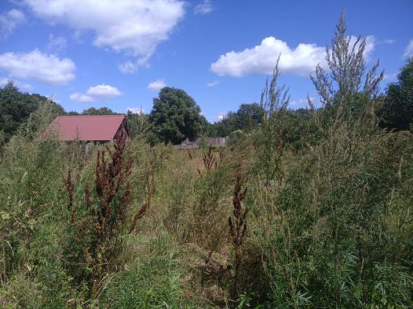 фото: KONKURENT.RU |  Дачников предупредили: заплатить придется до 50 000 рублей. И вот за что