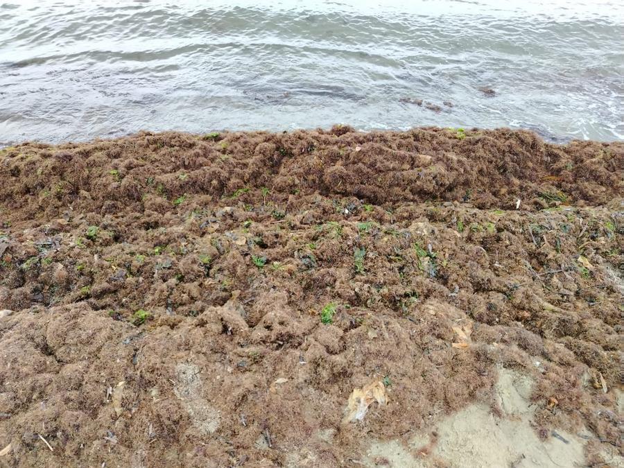 «Мы не виноваты, пляж не наш». Что творится на базах отдыха Приморья