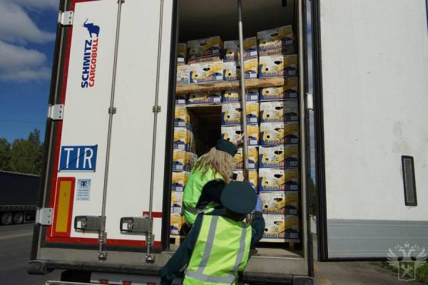 фото: тг-канал ФТС РФ |  Граница, полная денежных сюрпризов. Таможня объявила охоту на агентов