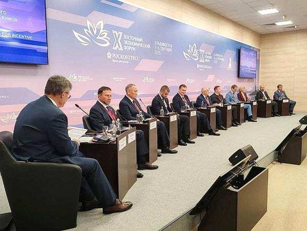 фото: пресс-служба СФ |  На ВЭФ обрисовали контуры будущей «супер-ТОР»