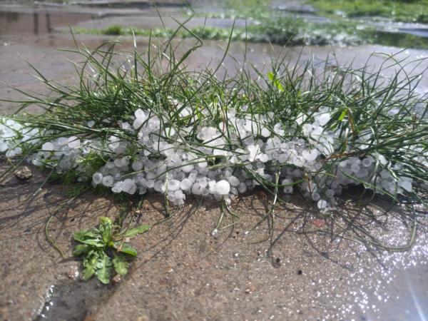 фото: KONKURENT.RU |  Известный синоптик предупредил: заморозки уже близко