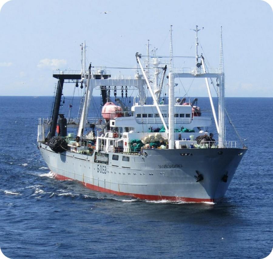 Крупное сахалинское предприятие стало частью бизнес-империи сына губернатора Приморья