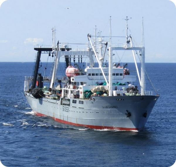 фото: с сайта компании "Алаид" |  Крупное сахалинское предприятие стало частью бизнес-империи сына губернатора Приморья