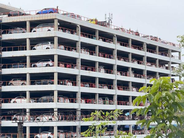 primpress.ru |  Коллапса нет? Такого количества праворульных авто таможня еще не видела