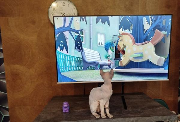 МТС |  Фиксики помогают детям из Приморья разобраться в детском профиле онлайн-кинотеатра