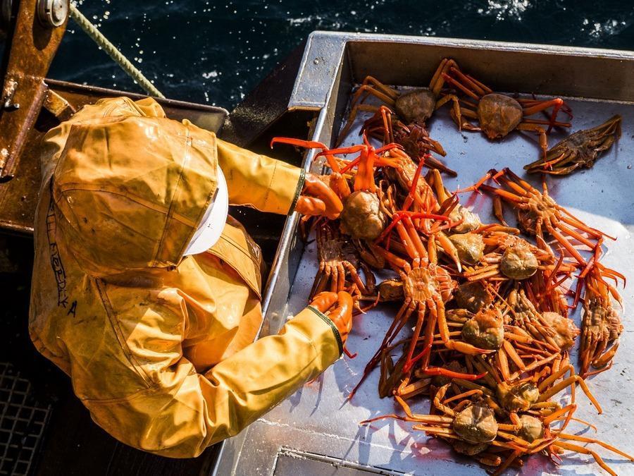 Крупный в Приморье рыболовецкий колхоз обратили в доход государства