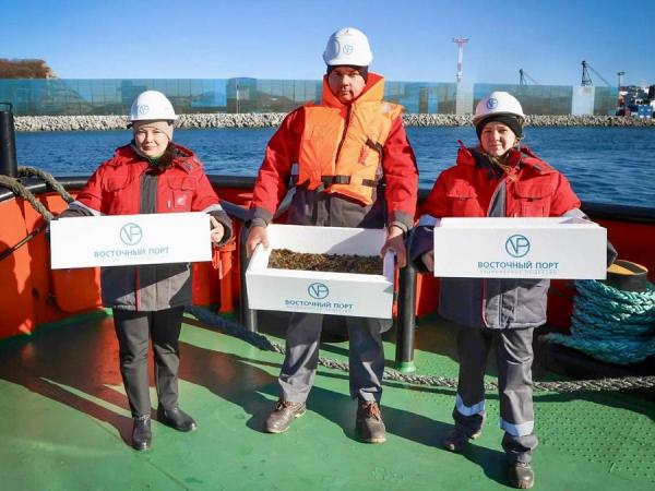 пресс-служба АО «Восточный Порт» |  «Восточный Порт» высадил молодь трепанга в акваторию бухты Врангеля