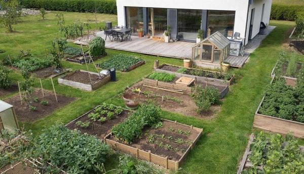 фото: GigaChat |  Массовая застройка сельхозугодий останется в прошлом – новые правила