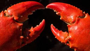 Крупный в Приморье рыбколхоз попал в клешни госкомпании