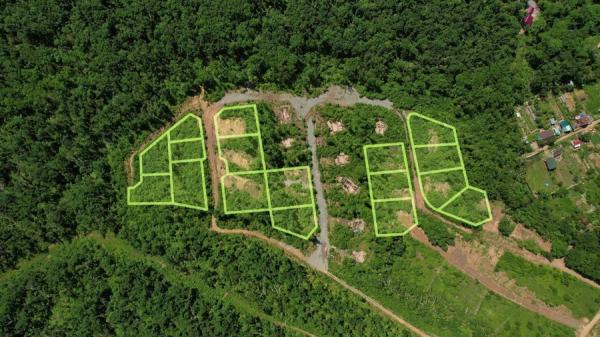 В Приморье землю в дачном поселке продают под строительство частных домов