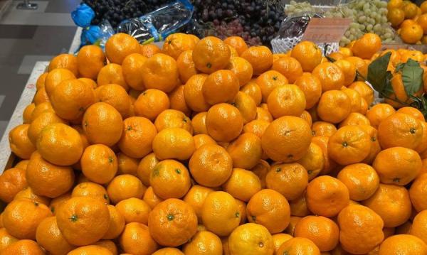 Столько мандаринов в России еще не было