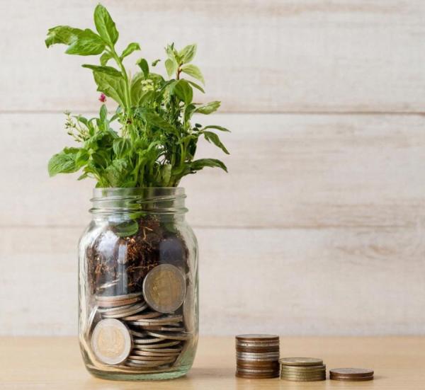 Облигации или акции: где спасть свои деньги от инфляции