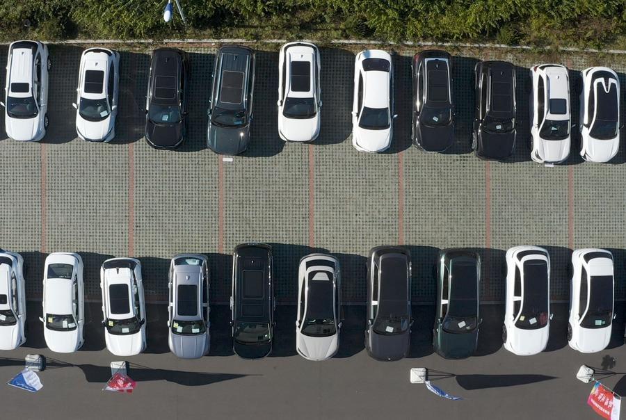 фото: предоставлено компанией «Азия Авто Гид» |  Парковки станут бесплатными? В России подъехала новая инициатива для водителей