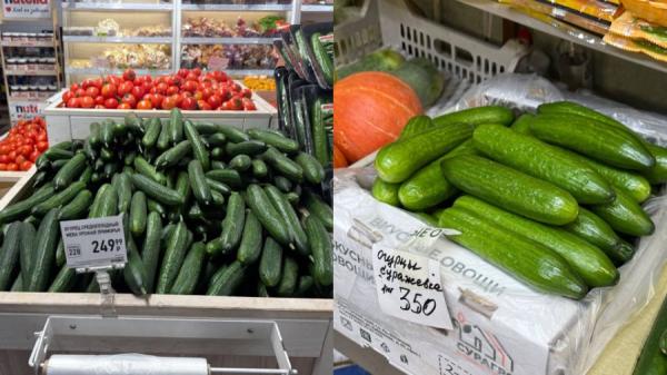 Огурцы стали «деликатесом». Госрегулирование цен не за горами?