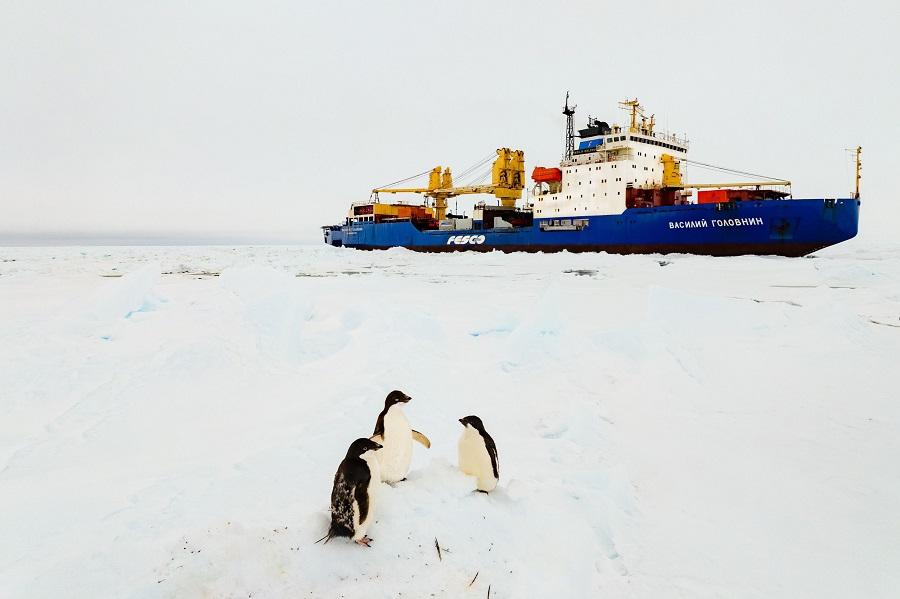 Дизель-электроход FESCO «Василий Головнин» прибыл на индийскую антарктическую станцию «Бхарати»