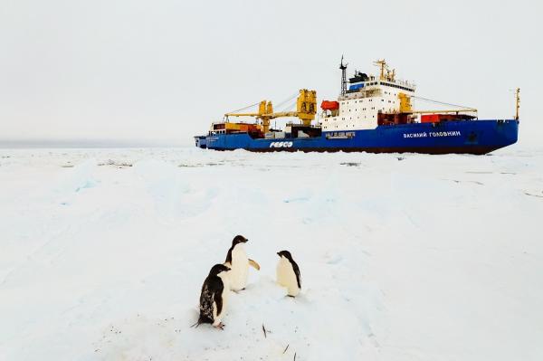 Дизель-электроход FESCO «Василий Головнин» прибыл на индийскую антарктическую станцию «Бхарати»