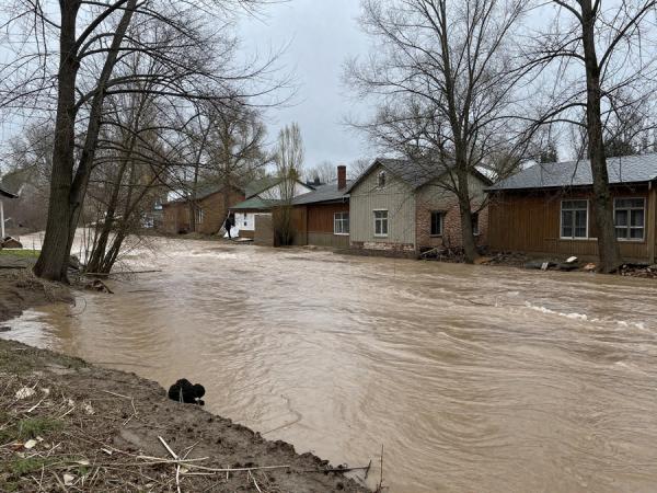 Климатические сдвиги: весна и лето в России начнутся не по расписанию