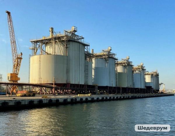 Китайская компания поглотит бухту Суходол по зернышку