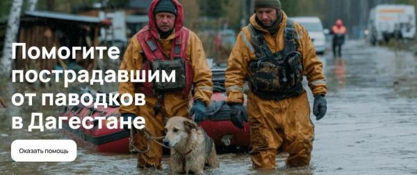 Авито открыл раздел помощи для пострадавших от паводков в Дагестане