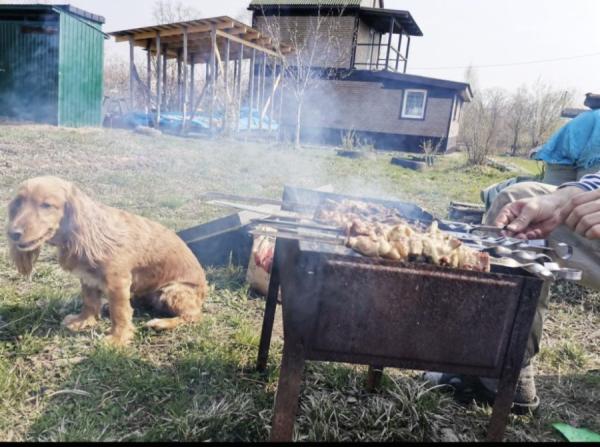 Дачников замаринуют штрафами – важные правила