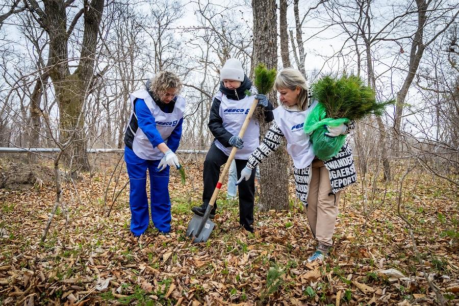 пресс-служба FESCO |  FESCO присоединилась к акции «Сад памяти» во Владивостоке