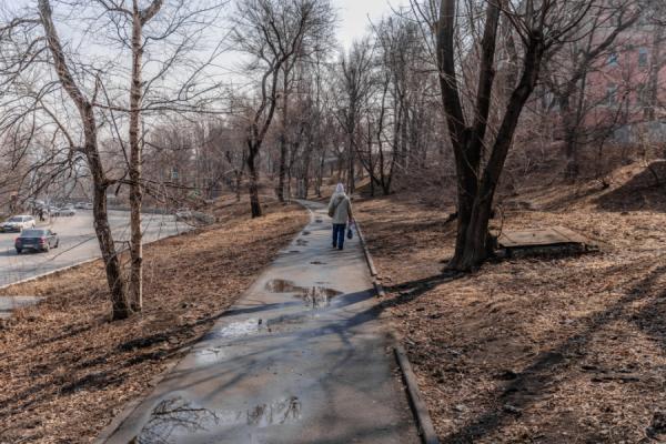 Новые скамейки, освещение и зелень: каким может стать сквер на Калинина
