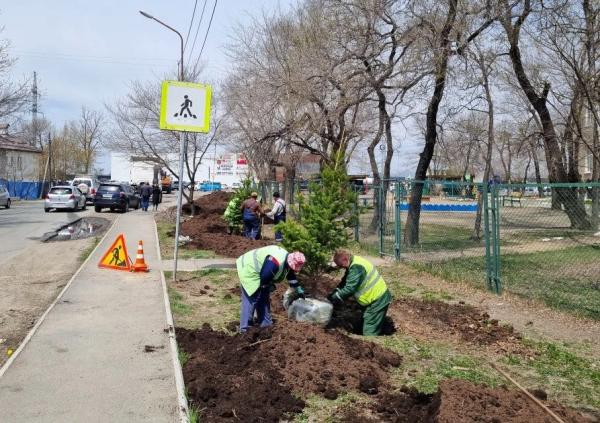 Новое лицо поселка Трудовое: как деревья, цветы и газоны меняют городскую среду
