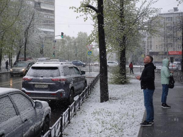 Арктический удар в конце мая: список городов, где выпадет снег