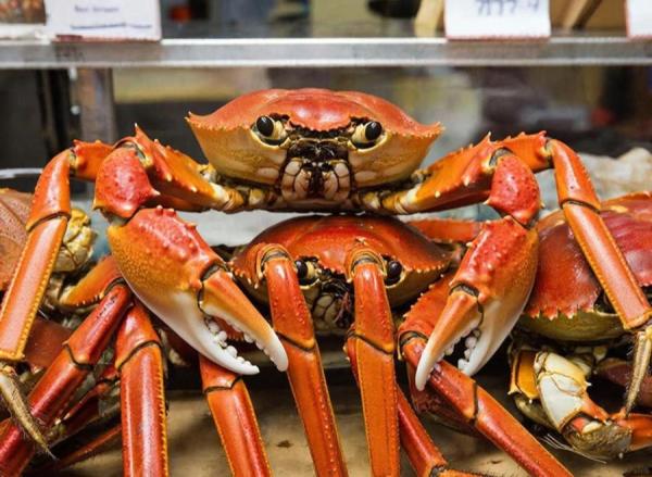 Китай скупает российские минтай, треску и крабов. Суммы запредельные