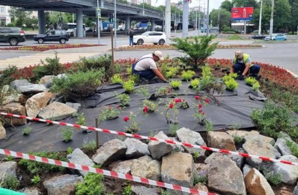 Во Владивостоке за месяц высадили более тысячи новых деревьев и кустарников