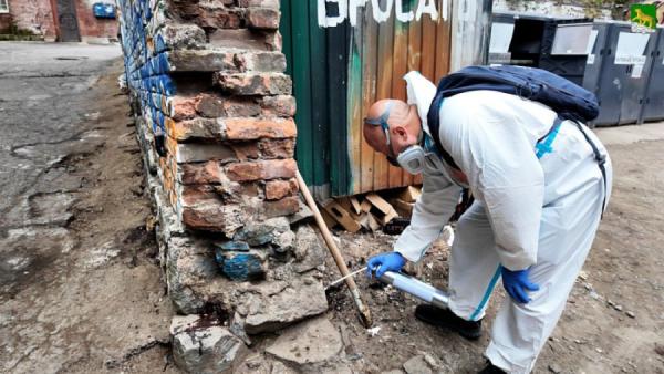 Во Владивостоке объявили даты масштабной зачистки города от вредителей