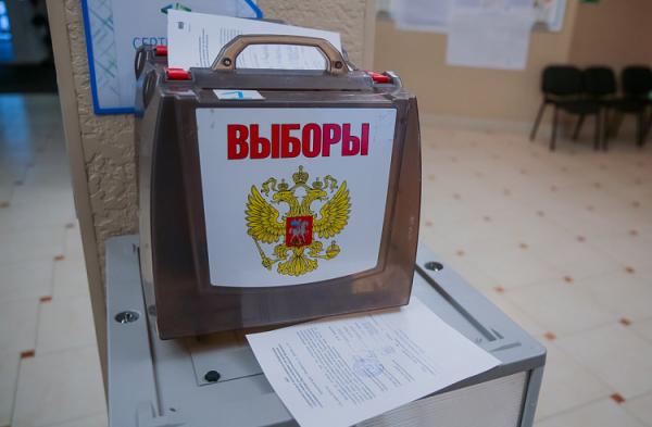 Фото: primorsky.ru |  Эксперты Приморья о процессе выдвижения на выборах 2026