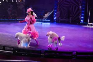 Фото: KONKURENT.RU